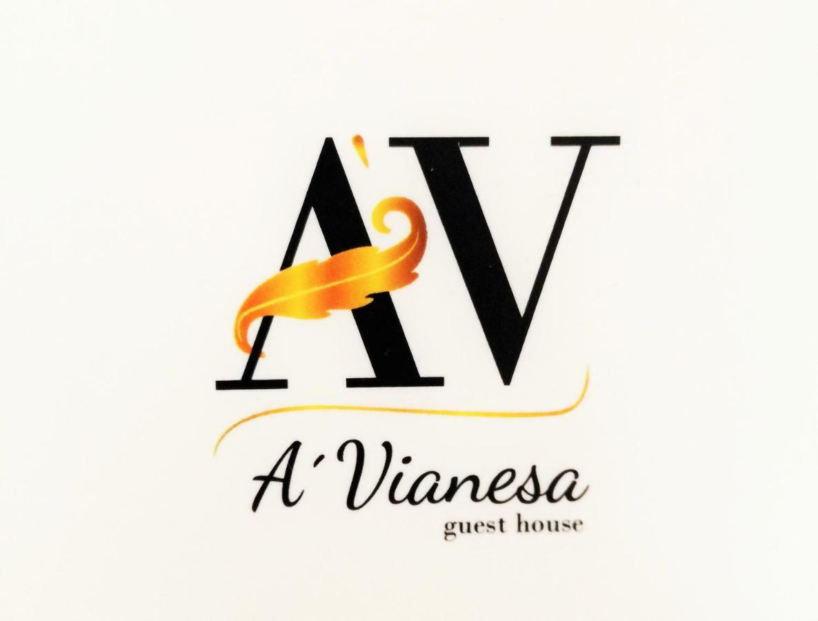 A Vianesa - Guest House Viana do Castelo Exterior photo